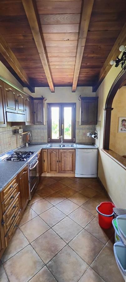 B&B Camera Delle Camelie Palestrina Dış mekan fotoğraf
