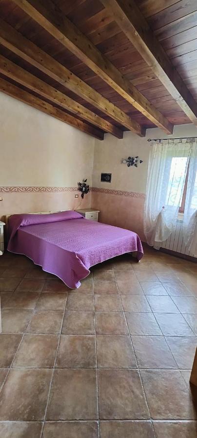 B&B Camera Delle Camelie Palestrina Dış mekan fotoğraf